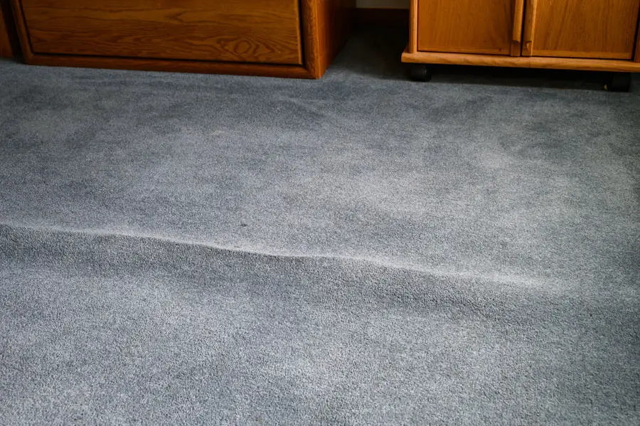 Carpet Ripples and Buckling