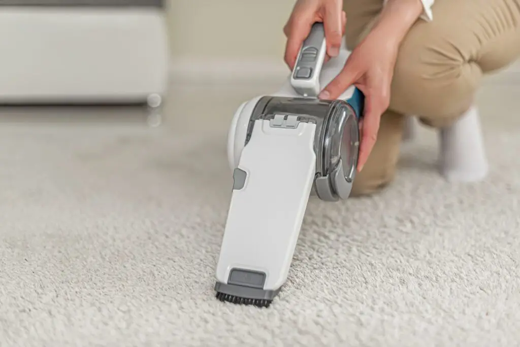 Will Vacuuming Get Rid of Carpet Beetles