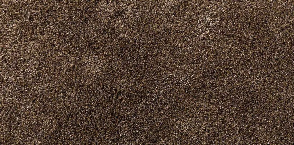 Carpet Color Fading Prevention