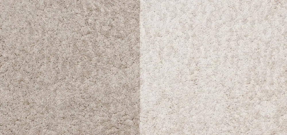 Carpet Color Fading Prevention